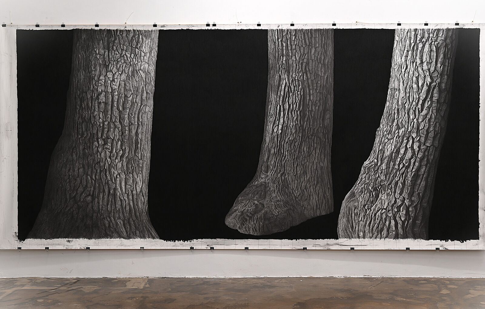 Schweigen im Walde, Ausstellung Sehsaal, Wien Nov. 2025 mit Eliane Huber Irikawa