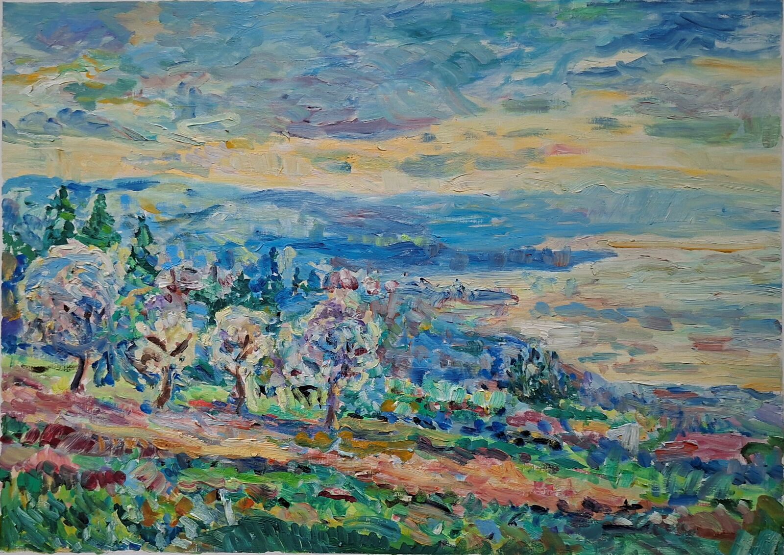 Frühlingsblick auf den Bodensee