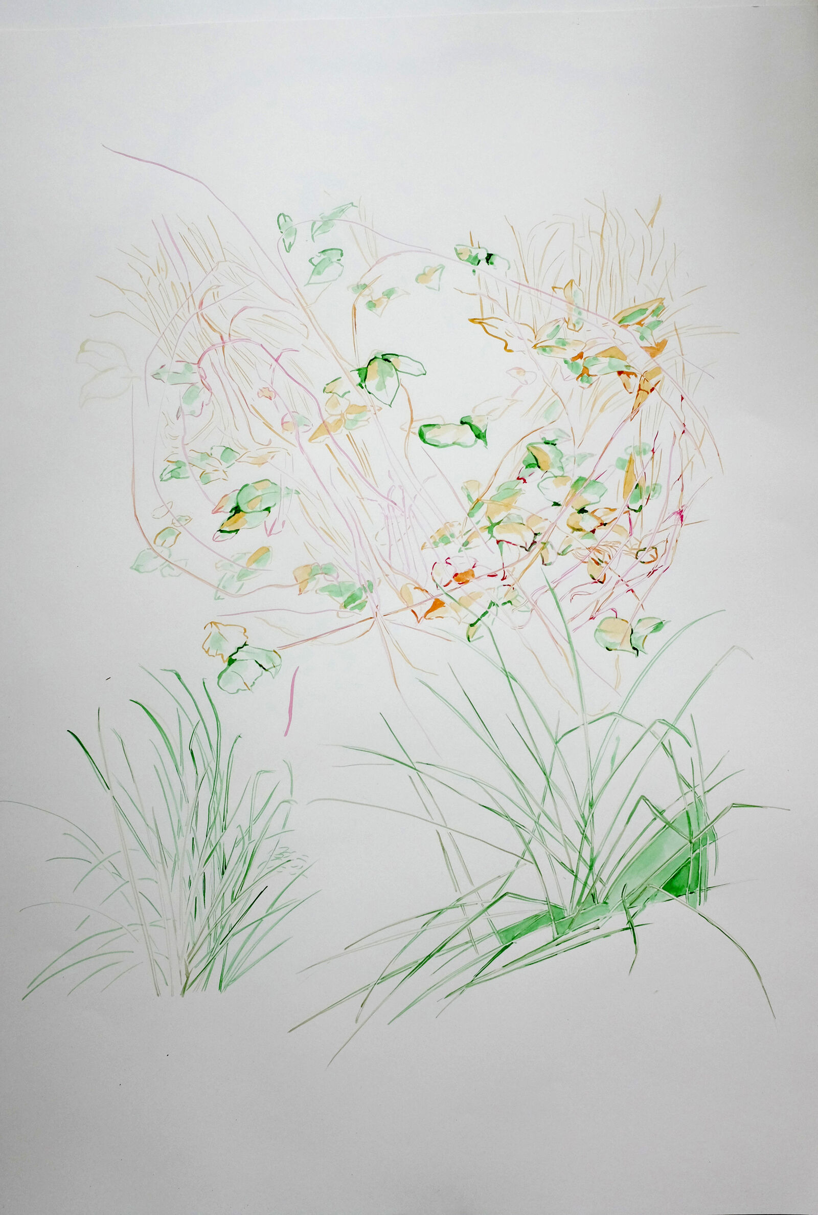 aquarell2-.jpg