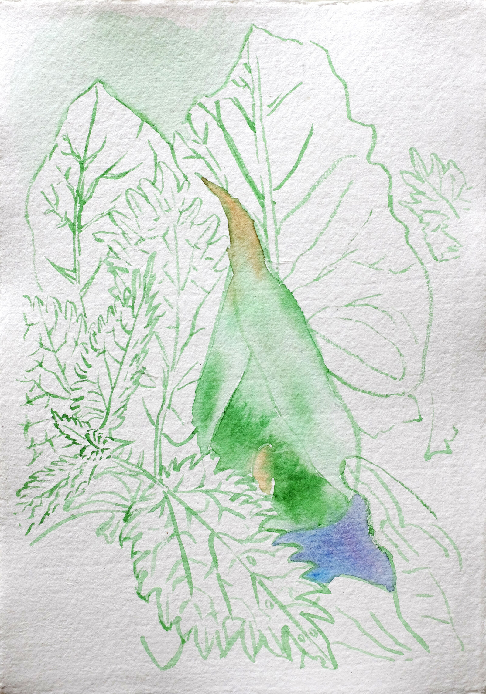 aquarell3-.jpg