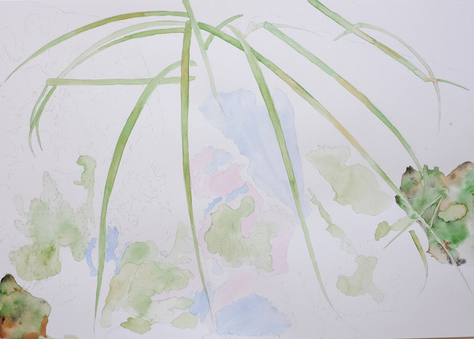 aquarell1-.jpg