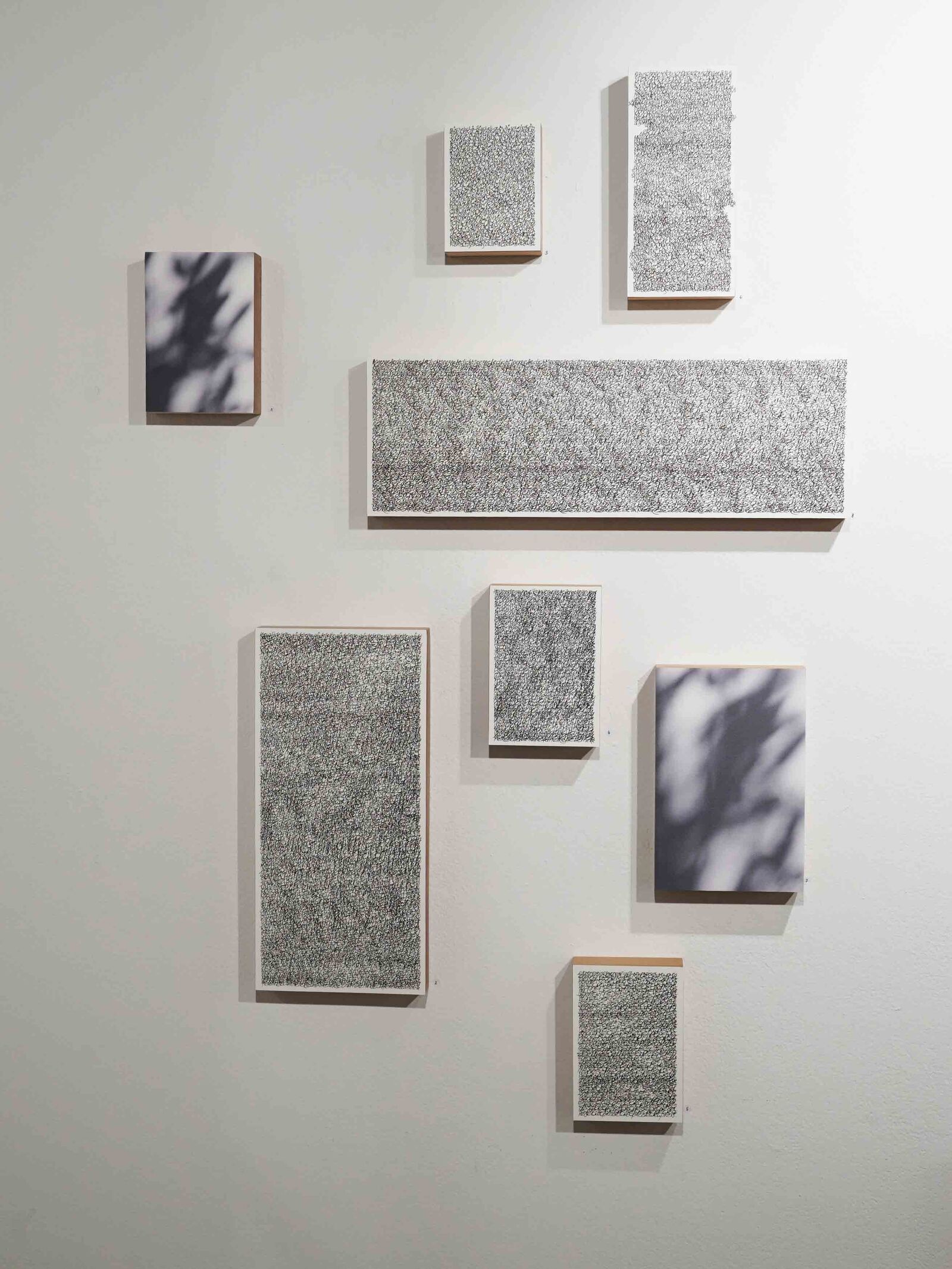 Meerrettich und viele andere mehr