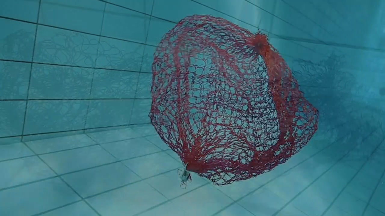 Standbild von Ghost Nets