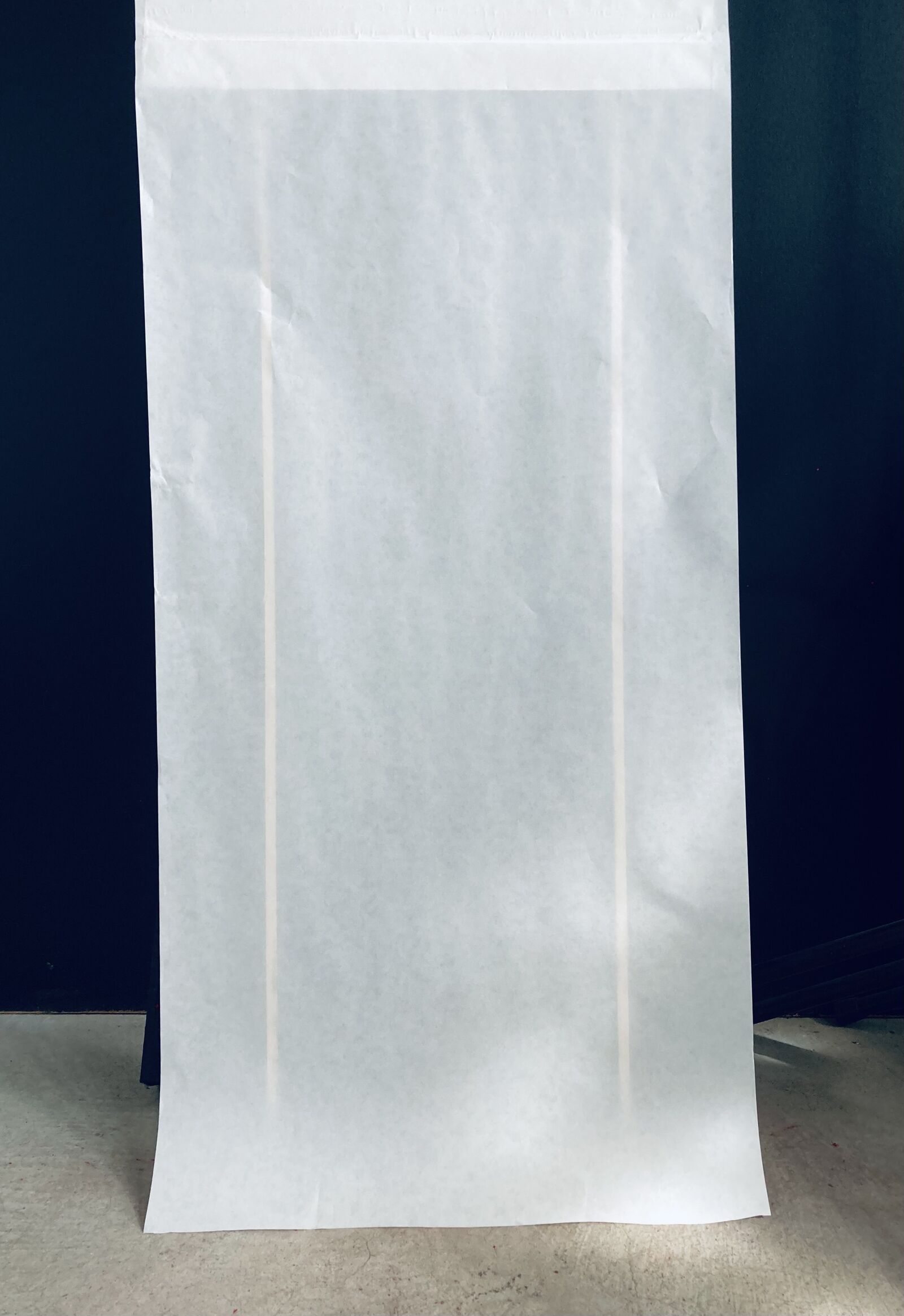 eine von 6 papierfahnen