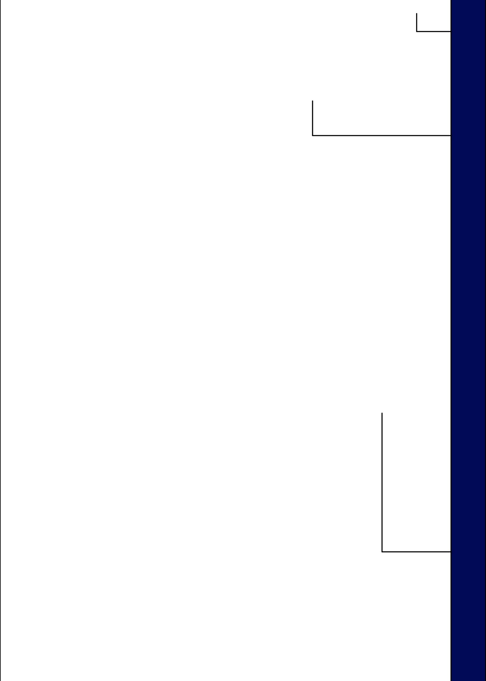 eve - line