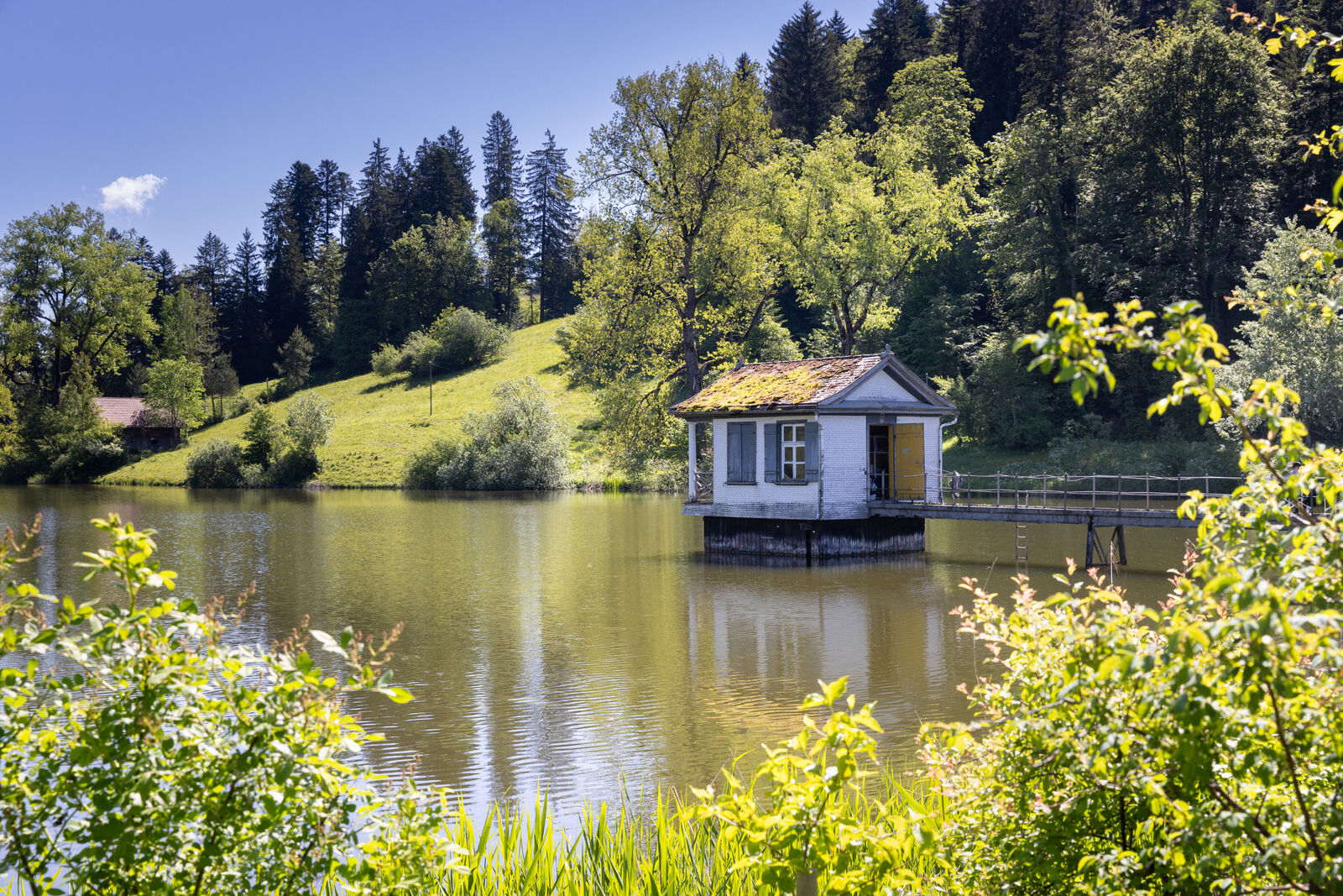 Der Wenigerweiher mit Ablasshäuschen