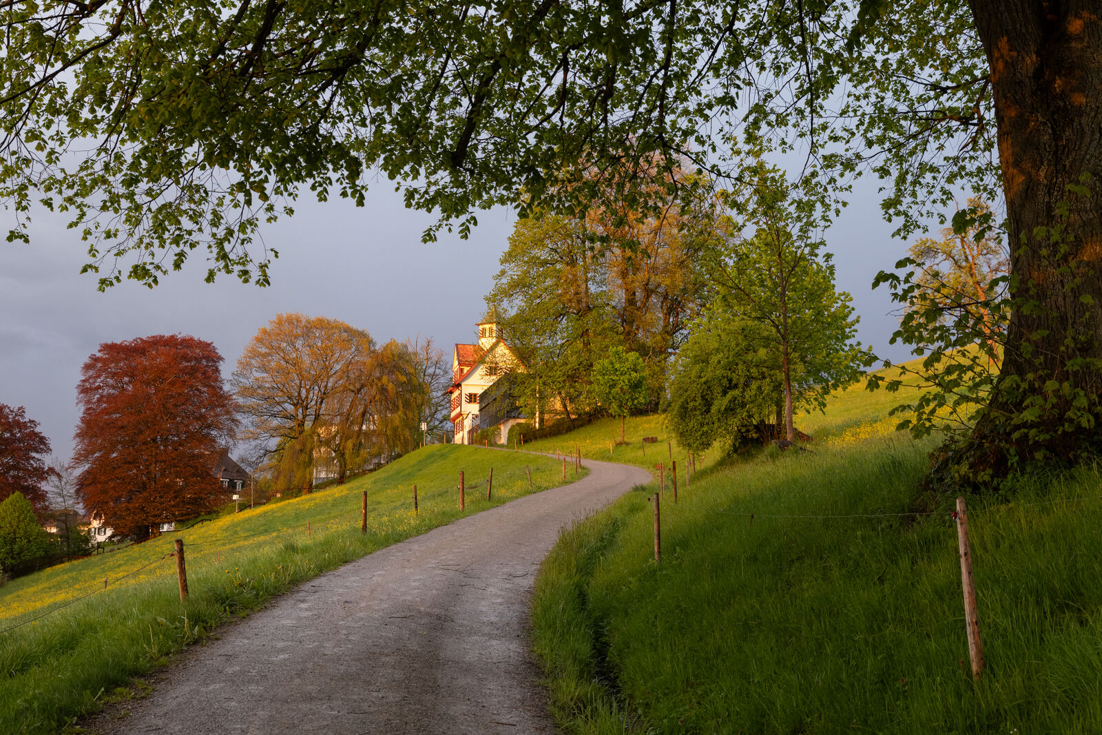 Spazierweg hin zur Falkenburg