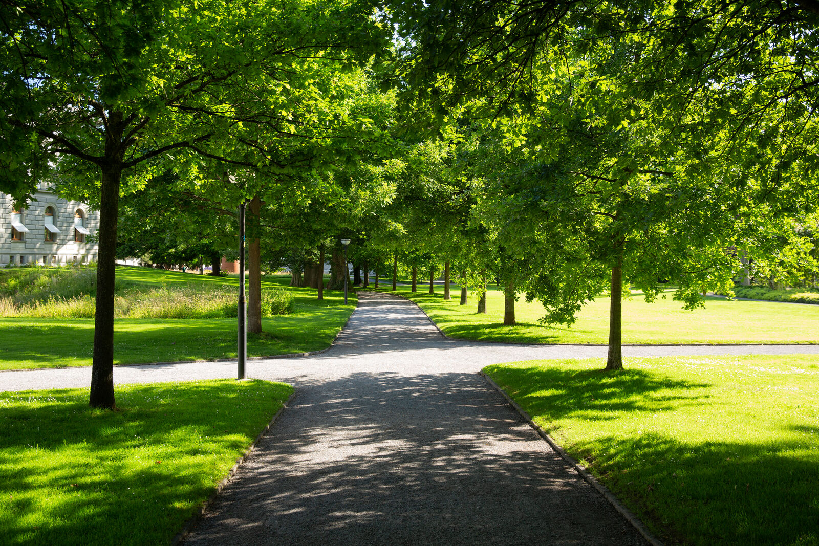 Wege im Stadtpark