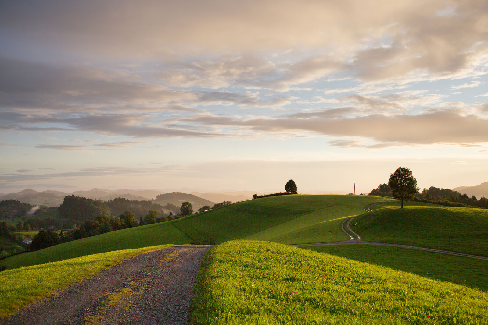 Vom Kapf zum Freudenberg