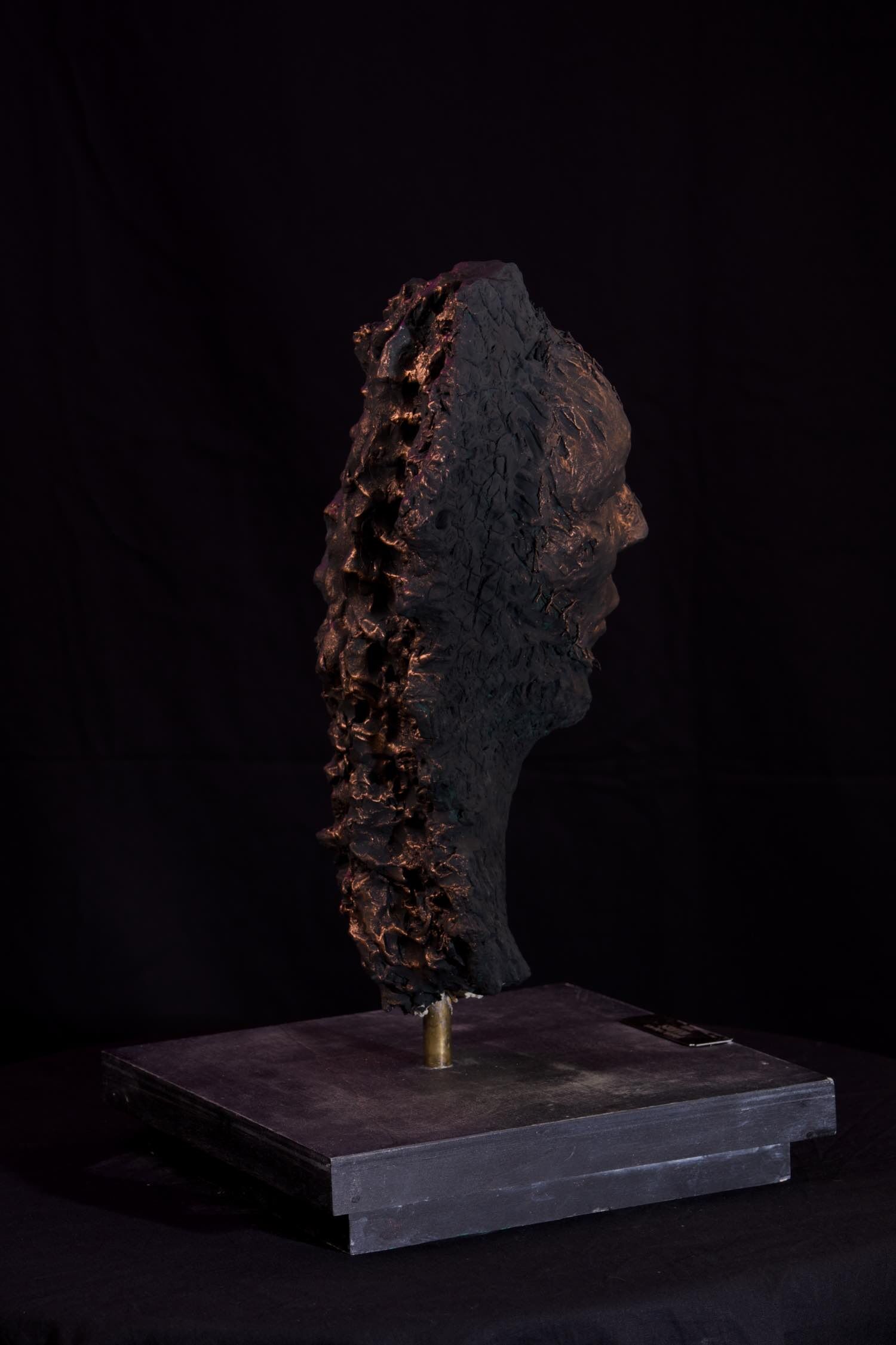 REMNANT_0028.jpg